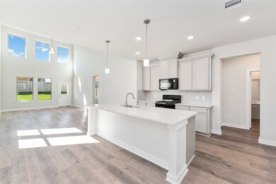 25323 Yellowbells Place, Montgomery, TX 77316 - photo 2