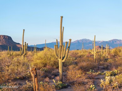 Amazing desert landscape.