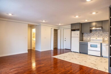 47 Mystic St unit 2D, Arlington, MA 02474 - photo 3