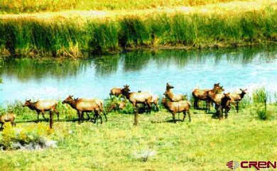 0 Cr 251 unit On 32nd Street, Durango, CO 81301 - photo 7