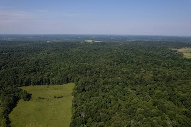 0 Dan Station Rd unit 11546184, Olaton, KY 42361 - photo 5