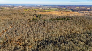 DJI_20241203090720_0349_D