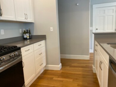 270 Cypress St unit 1, Brookline, MA 02445 - photo 4