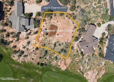 Lot 503
