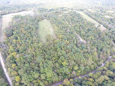 401 Olde Ashes Creek Rd, Bloomfield, KY 40008 - photo 7