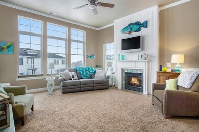 Living Fireplace