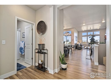 6768 Castello St, Timnath, CO 80547 - photo 5