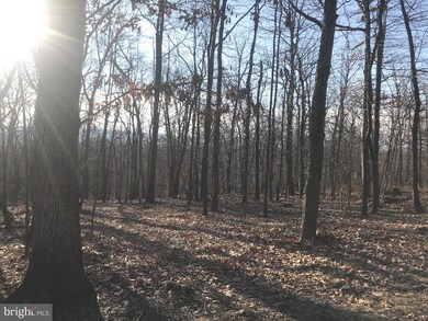 Lot 55 Grimaldi Way, Hedgesville, WV 25427 - photo 7