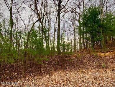 0 Oliver James Way unit 1278736, Sevierville, TN 37862 - photo 5