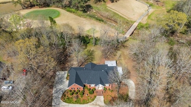 Roof View