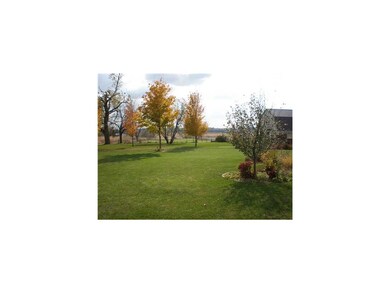 Yard.
