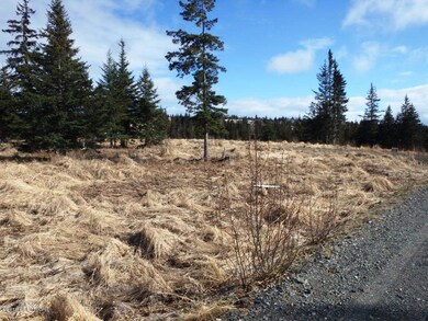 Lot Looking South