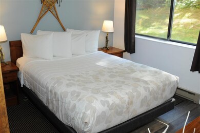 23 Black Bear Way unit 111, Waterville Valley, NH 03215 - photo 6