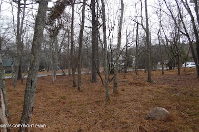 D1922 S Old Stage Rd, Penn Forest Township, PA 18210 - photo 6