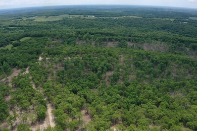 TBD Missouri 7, Roach, MO 65787 - photo 2