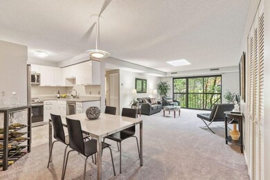 23 Elm St unit 304, Somerville, MA 02143 - photo 2