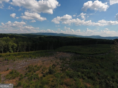 0 Johnson Mountain Rd unit 7401-L 10609148, Rydal, GA 30171 - photo 4