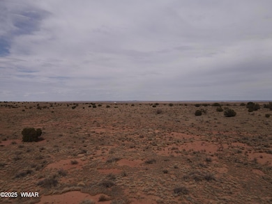 dji_fly_20250728_135444_855_175373609656