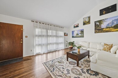 17-web-or-mls-DSC08177