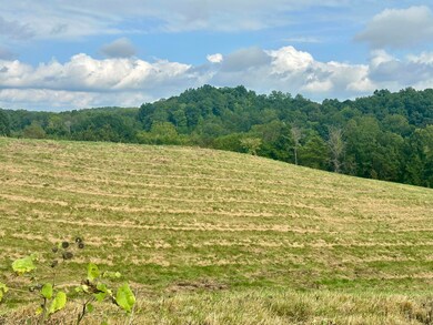 Tract 1 Pittsburg Landing Rd, London, KY 40741 - photo 5