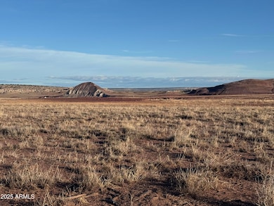 Lot #35 Bonito Valley Ranch -- unit 35, Saint Johns, AZ 85936 - photo 4