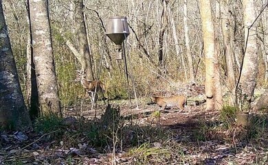 +/- 61.8 U S 59, Nacogdoches, TX 75965 - photo 3