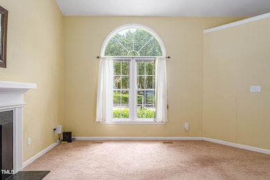 2425 Fields of Broadlands Dr-12