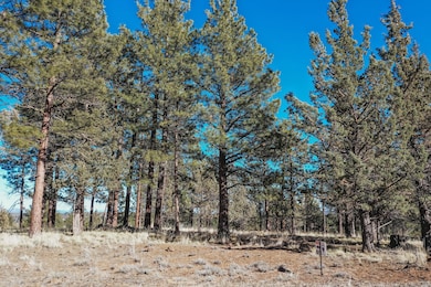 Lot 5 Vista View Loop, Sisters, OR 97759 - photo 4