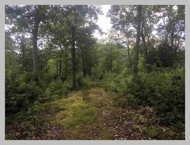 13 Point of View Dr, Plymouth, NH 03264 - photo 7