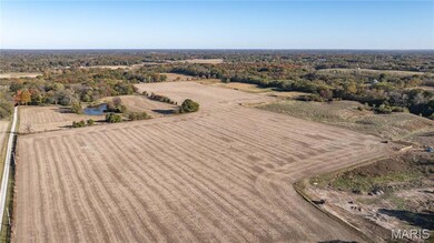 0 W County Line Rd unit Tract 2, Brighton, IL 62012 - photo 4