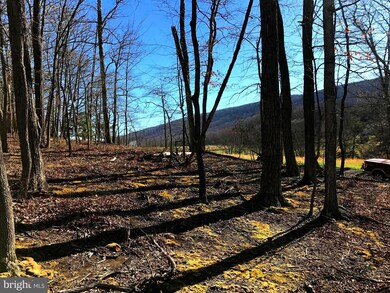 0 Beech Ln unit 1000232394, Baker, WV 26801 - photo 6