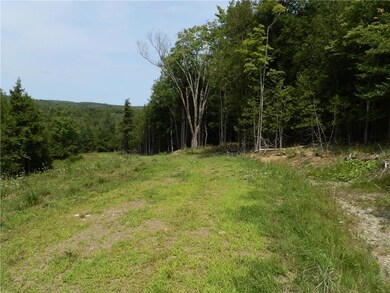 Lot 14 Pullen Rd, Garland, ME 04939 - photo 5