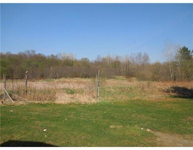 Yard/Garden.