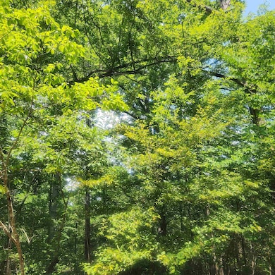 L-27, B-15 Goti Dr, Cherokee Village, AR 72529 - photo 7