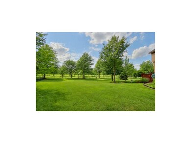 No, this isn't the park, it's your backyard.  (Luc
