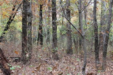 14458 White Oak Rd, Fayetteville, AR 72704 - photo 4