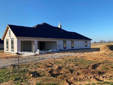 1118 County Road 4797, Boyd, TX 76023 - photo 2