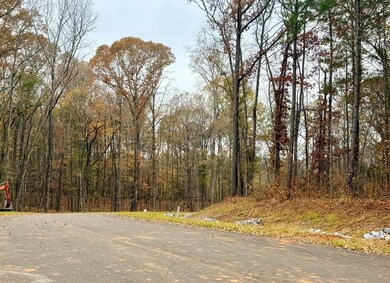 Lot 27 Rolling Meadows Way, Waverly Hall, GA 31831 - photo 7