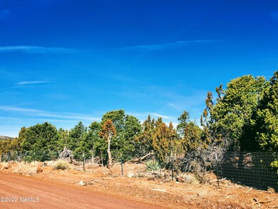 Looking at Lot From Road