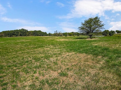 0 S Sliffe Rd unit HMS2574282, Austin Township, MO 64725 - photo 4