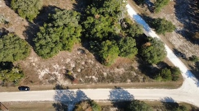 TBD SW 146th Ct, Ocala, FL 34481 - photo 4