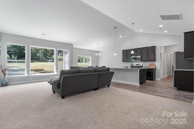 4903 Rio de Luna None, Hickory, NC 28601 - photo 4