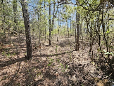 5005 Bunches Chapel Rd, Parsons, TN 38363 - photo 5