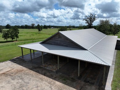 1412 Clark Rd, Blakely, GA 39823 - photo 6