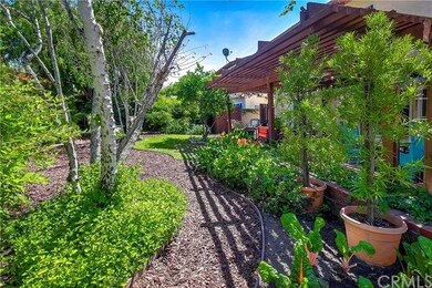 Zen-like yard with mature landscape