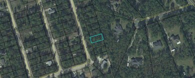 141 Duane Dr, Crawfordville, FL 32327 - photo 4