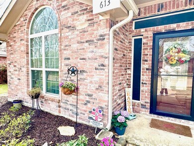 613 Burchshire Ln, Wylie, TX 75098 - photo 3