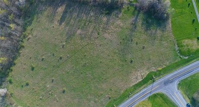 Part of the land has been cleared while the other 