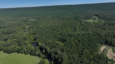 Highway 314, Plainview, AR 72857 - photo 6