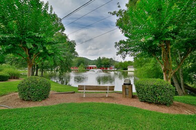 Pond